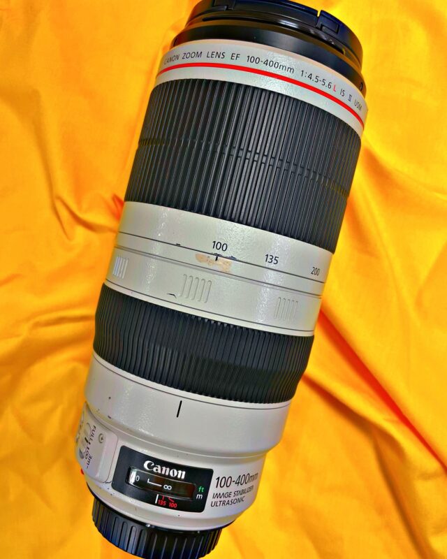 全分解！レンズ内部清掃！

・EF100-400 F4.5-5.6L IS II USM

神奈川県のお客様へ

この度はヒガサカメラサービスをご利用いただきありがとうございました♪
レンズ内部に水滴痕およびカビが見られたため清掃を行いました！！またの機会がございましたらご利用をお待ちしています☆

お問い合わせはホームページまで！
※Instagram・DMでのお問い合わせは出来かねます。(対応可能機種はHPでcheck!)

↓機材送付先はこちらまで↓

株式会社ヒガサカメラサービス
〒550-0005　大阪府大阪市西区西本町1丁目13番地32号　レイズ本町ビル4階

・店舗持ち込み・引き取りもok！
事前ご予約でスムーズにご案内！(ホームページをご確認ください！)
営業時間 : 10:00-17:00（土日祝日を除く）
Osaka Metro 本町駅 27番出口 徒歩5分

#ヒガサカメラサービス
#キヤノン
#フィルムカメラ修理
#カメラ修理
#フィルムカメラ
#一眼レフカメラ
#ミラーレスカメラ
#カメラ#撮影#カメラマン
#写真家#中古カメラ#カメラ買取
#フィルム部 #写真部#カメラ部
#filmcamera#camera#japan
#eos_my_photo #canon
#nikon#sony#fujifilm
#SIGMA#TAMRON